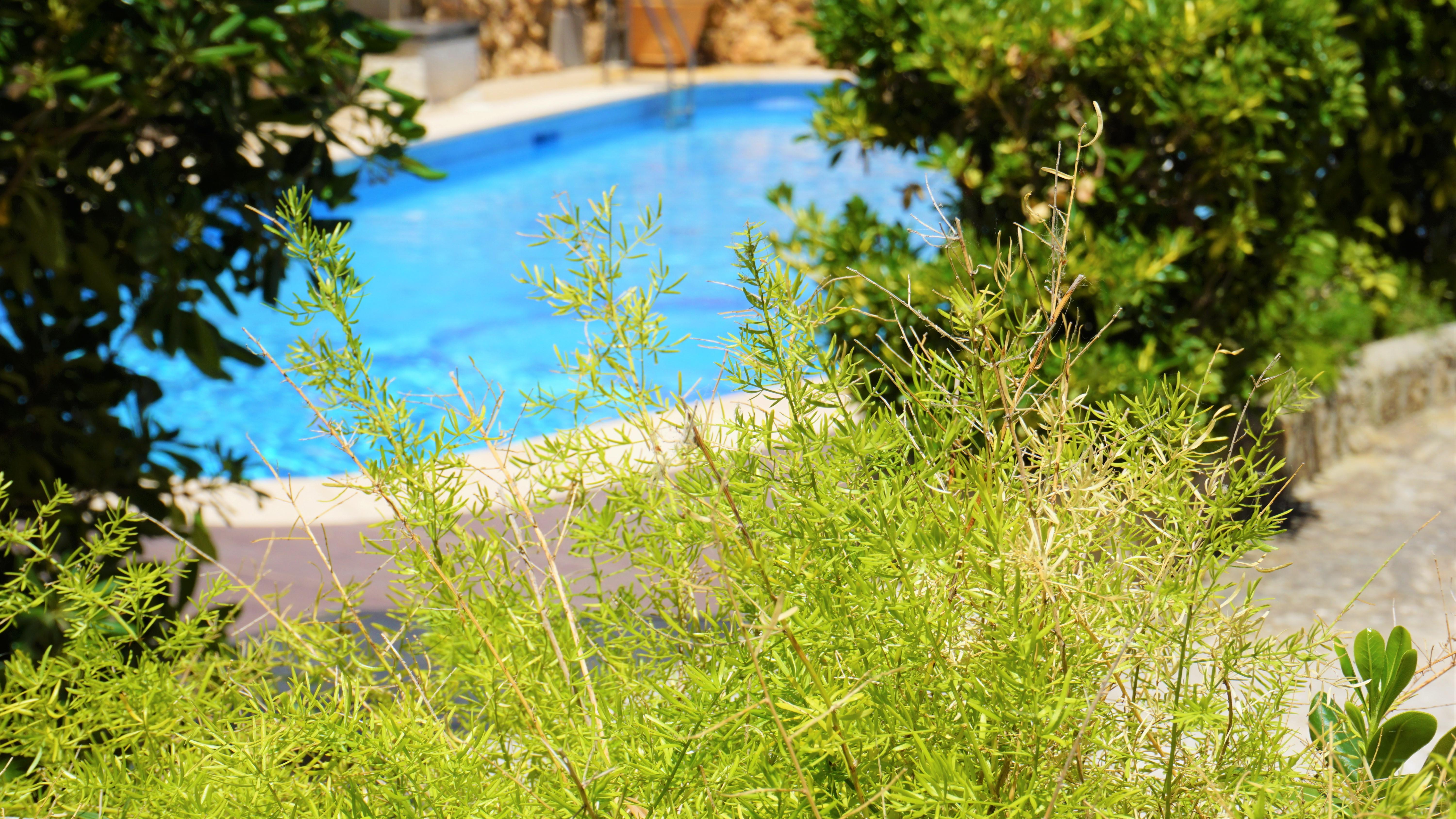 Playas Del Rey Hotel Santa Ponsa Exterior photo